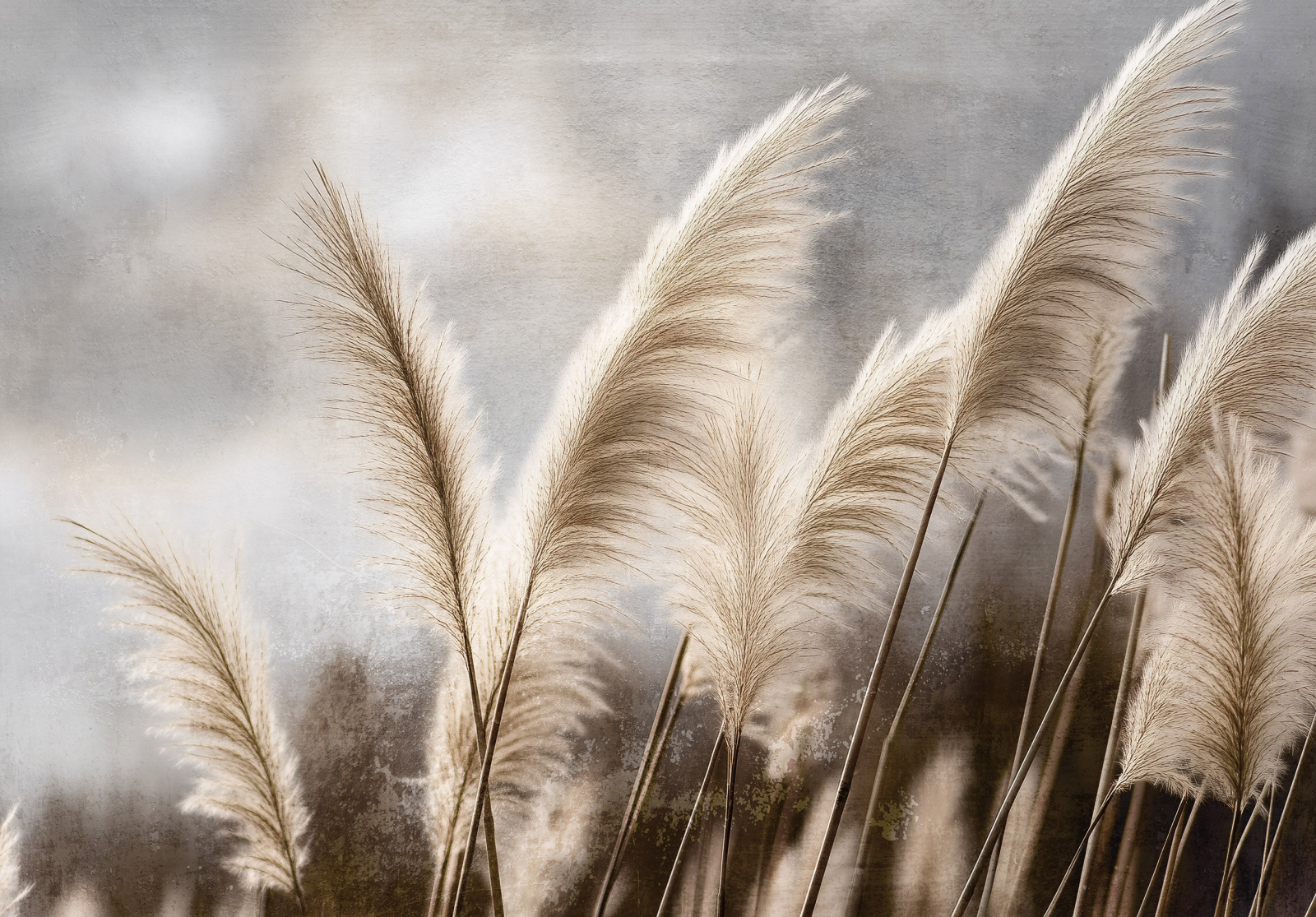 Нежен фототапет с декоративни треви в бежови тонове